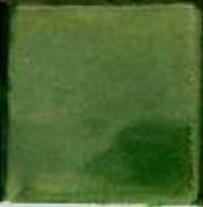 C#11Gallery Green.jpg